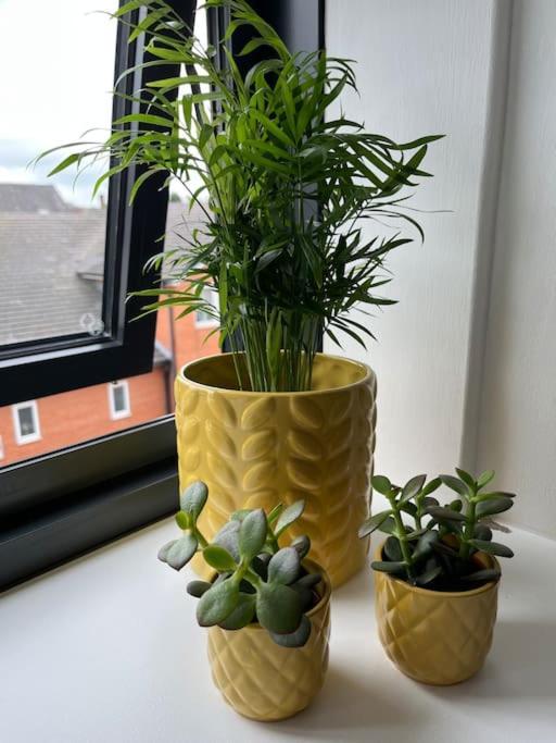 No5 At 53 - 2 Bed Apartment In Leek, Staffs Peak District Екстериор снимка